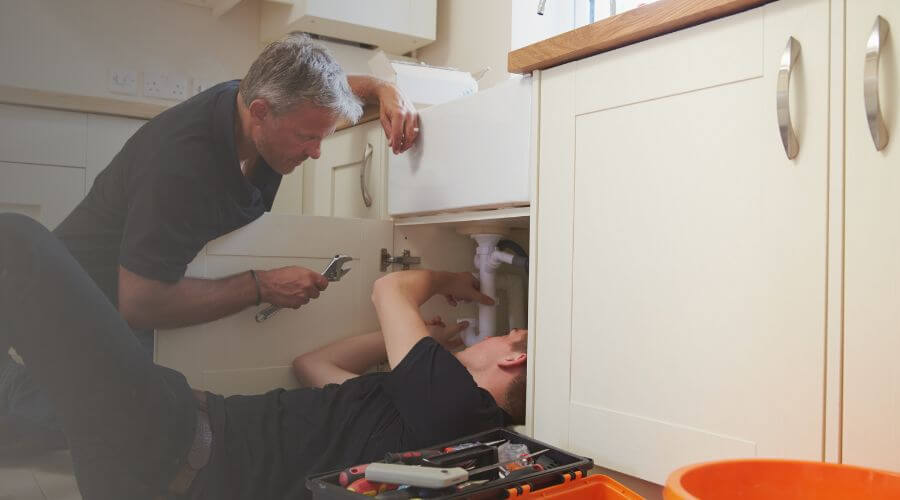 Professional Water Damage Mitigation services in Iron Belt, WI